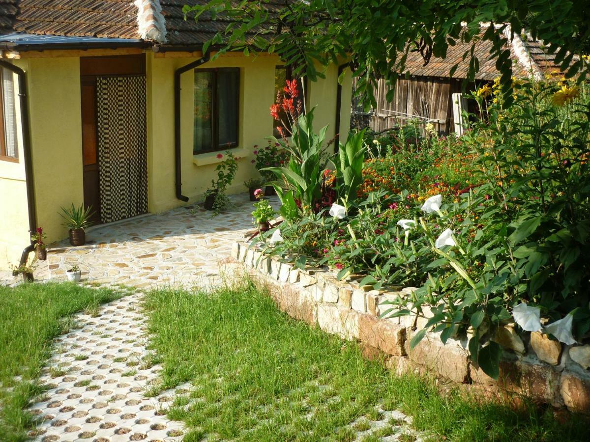 Guest House „Ivanovata house” Yanovets Exteriér fotografie